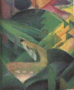 Franz Marc Details of The Monkey (mk34) oil